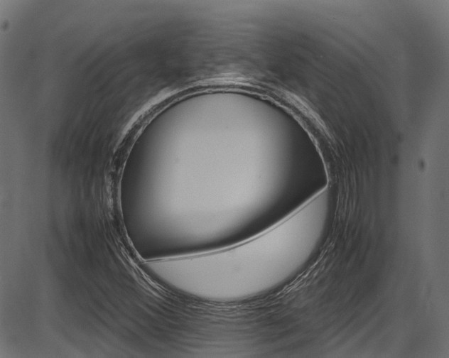 X0000087051356200704180952