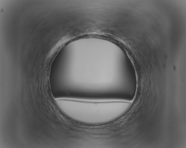 X0000087051359200704180952