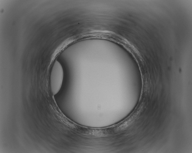 X0000087051362200704180952