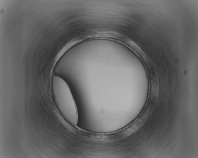 X0000087051370200704180951