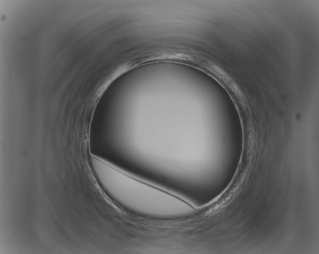 X0000087051377200704180951