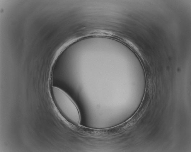 X0000087051379200704180951