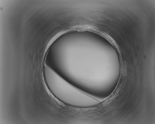 X0000087051389200704180951