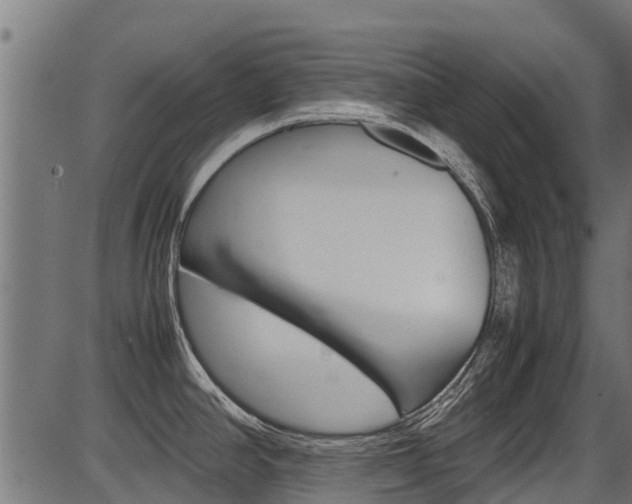 X0000087051390200704180951