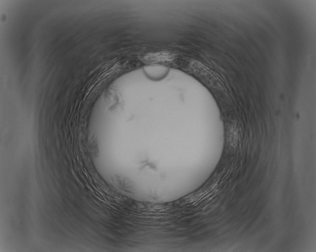 X0000087051393200704180950