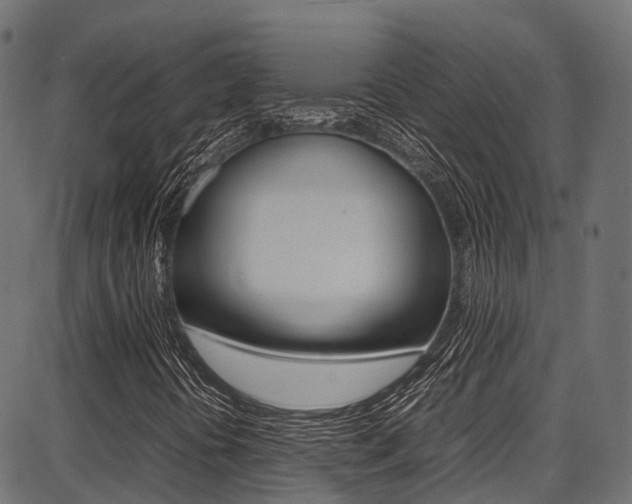X0000087051394200704180950