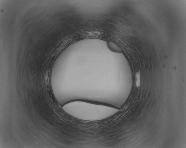 X0000087051395200704180950