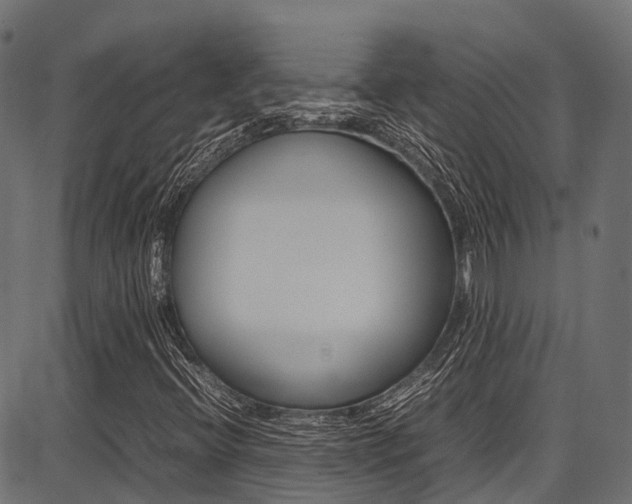 X0000087051396200704180950