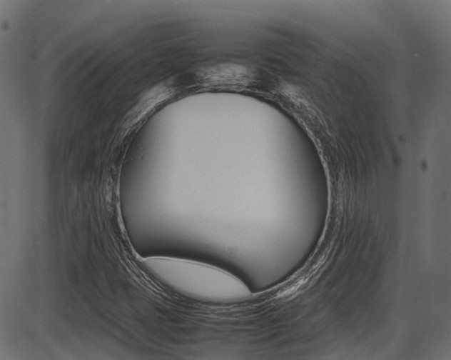 X0000087051401200704180950