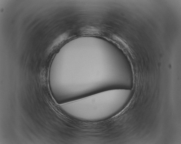 X0000087051403200704180950