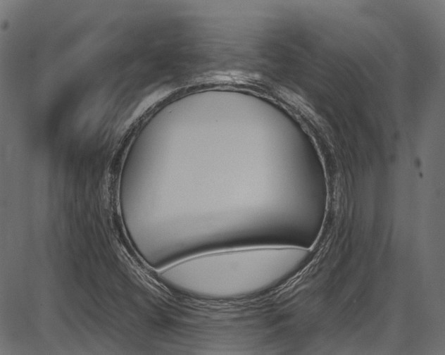 X0000087051404200704180950