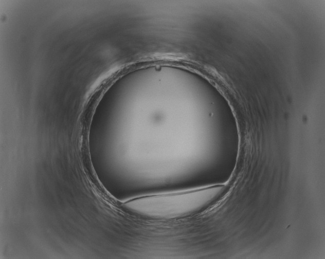 X0000087051406200704180950