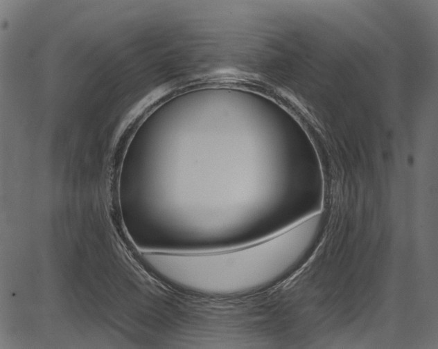 X0000087051410200704180951
