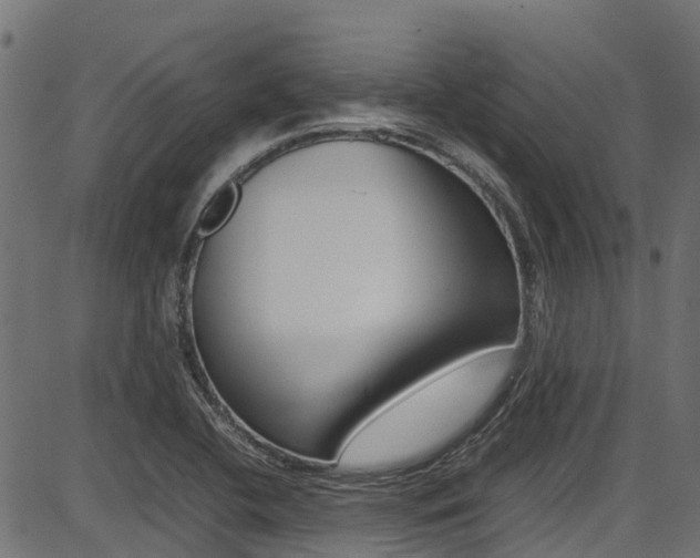 X0000087051412200704180951