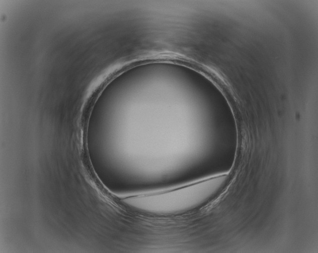 X0000087051414200704180951