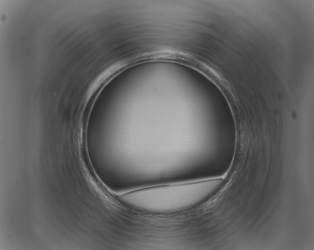 X0000087051418200704180951