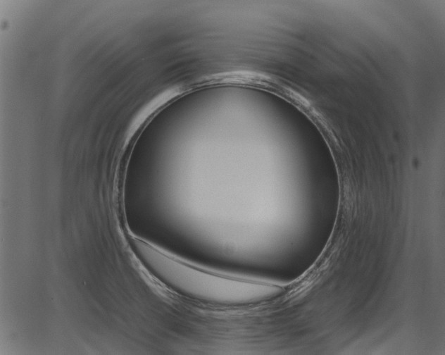 X0000087051426200704180951