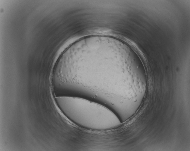 X0000087051432200704180951