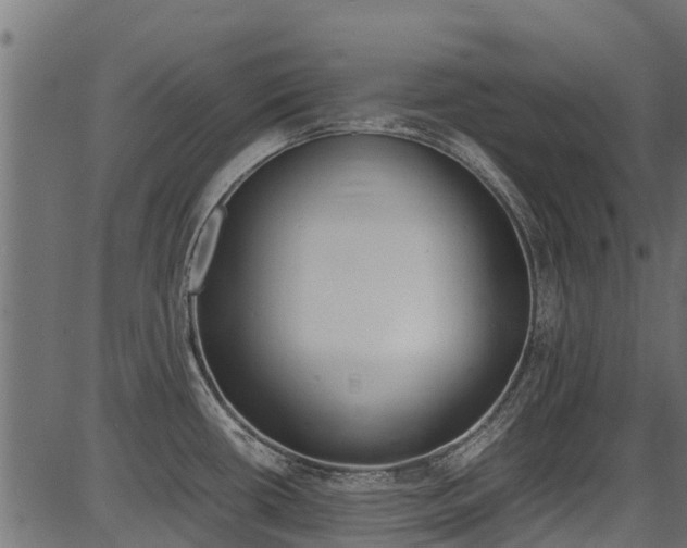 X0000087051434200704180951