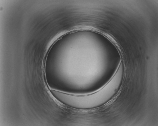 X0000087051438200704180951