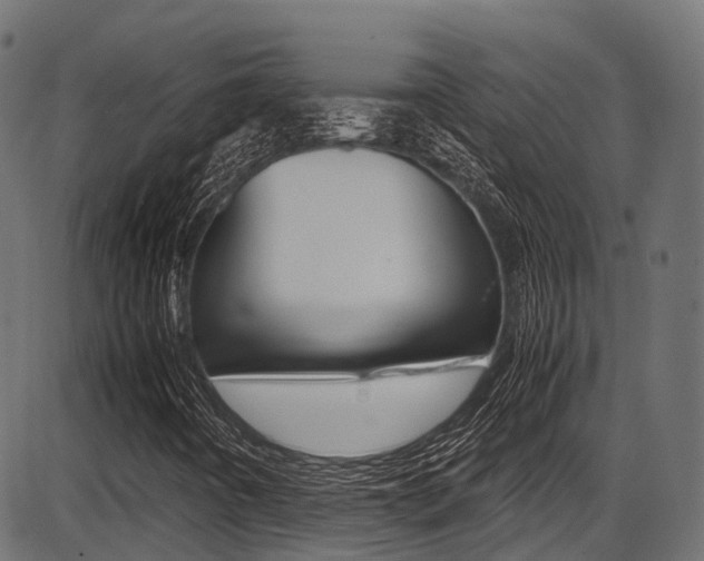 X0000087051442200704180950