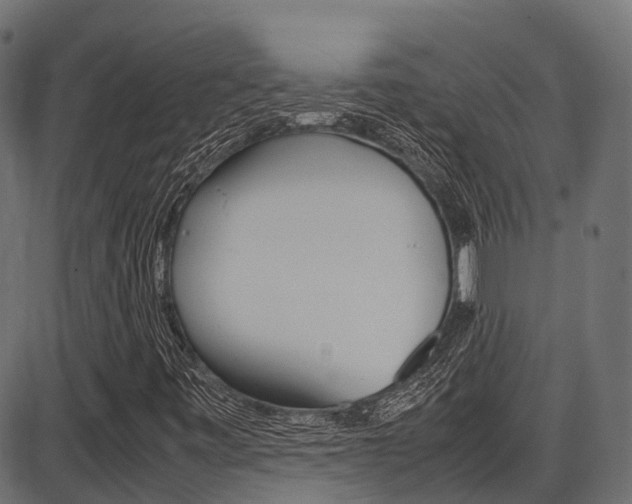 X0000087051443200704180950