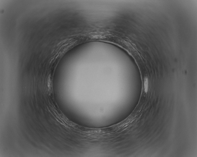 X0000087051444200704180950
