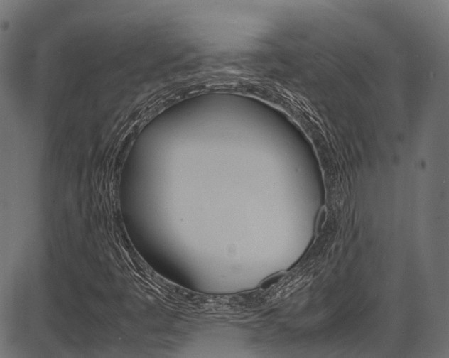 X0000087051445200704180950