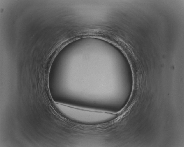 X0000087051449200704180950