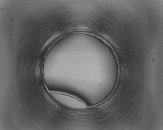 X0000087051450200704180950