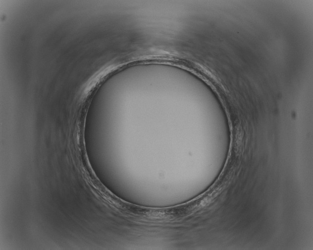 X0000087051455200704180950