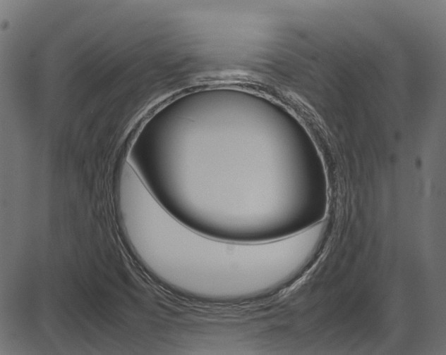 X0000087051457200704180950