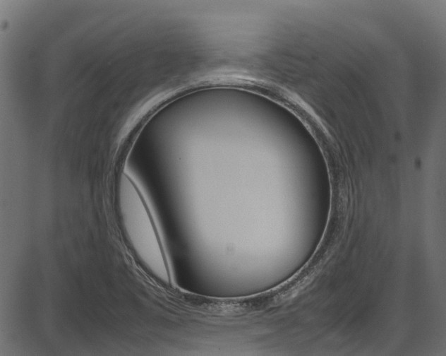 X0000087051461200704180950