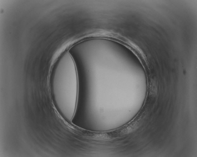 X0000087051464200704180950