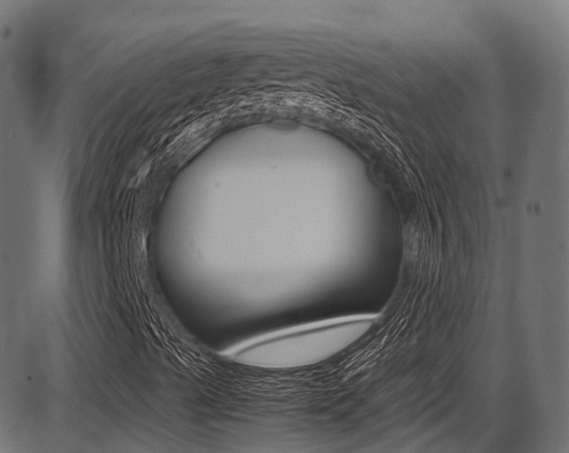 X0000087051489200704180949