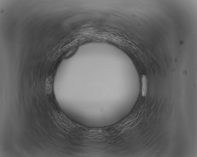 X0000087051491200704180949