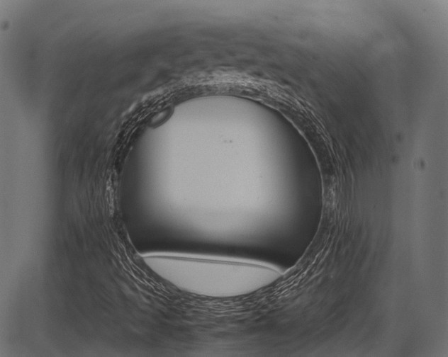 X0000087051493200704180949