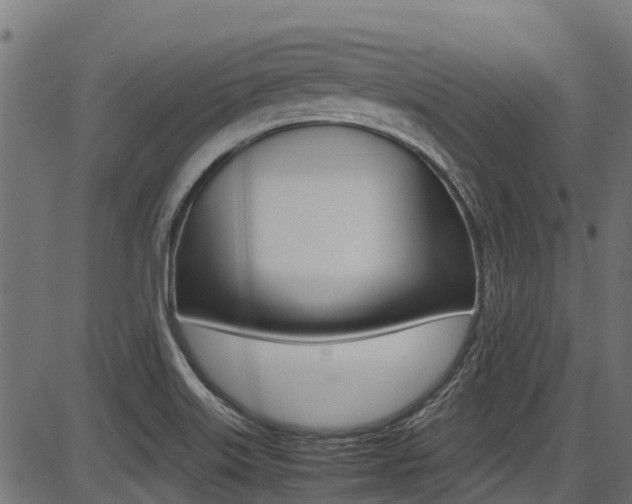 X0000087051515200704180949