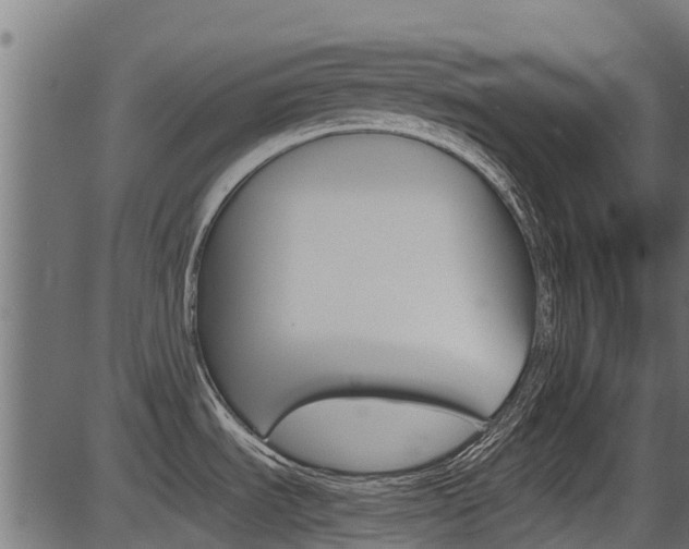 X0000087051535200704180949