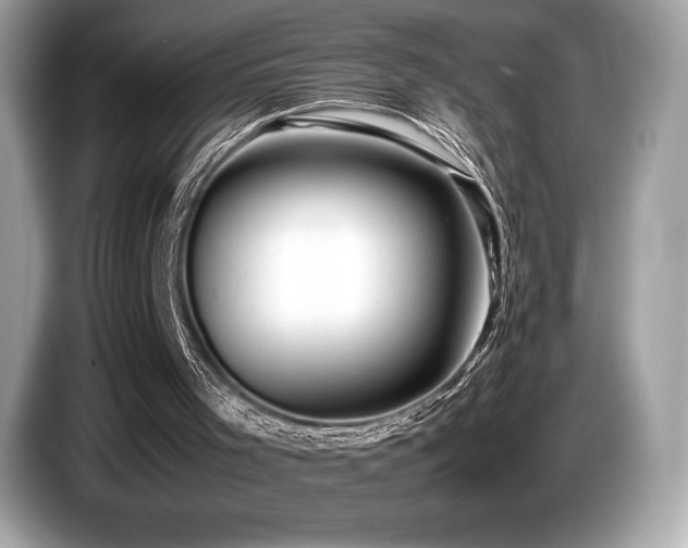 X0000087050001200704181247
