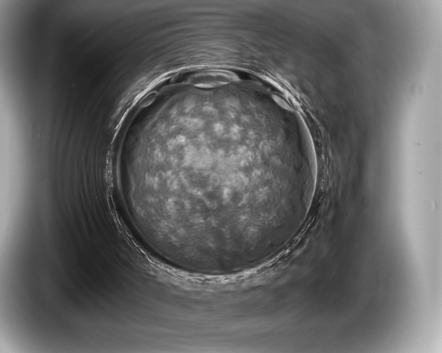 X0000087050002200704181247