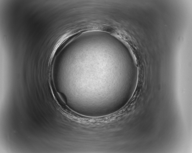 X0000087050003200704181247