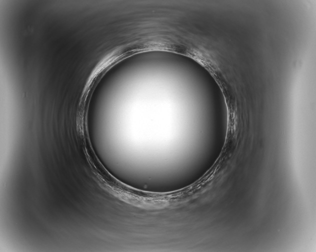 X0000087050004200704181247