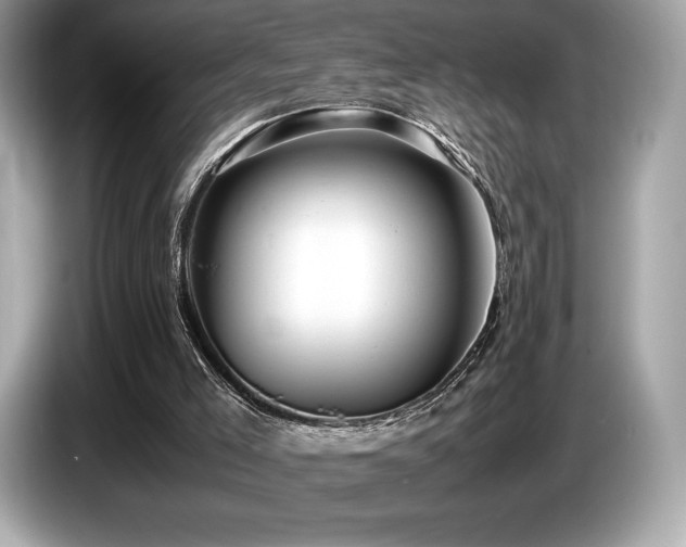 X0000087050005200704181247
