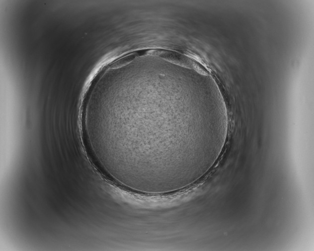 X0000087050006200704181247