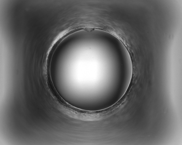 X0000087050008200704181247
