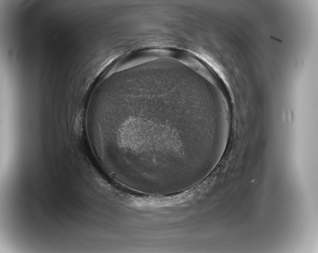 X0000087050009200704181247