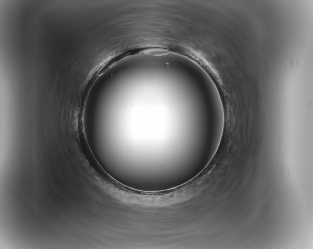 X0000087050010200704181247