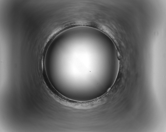 X0000087050011200704181247