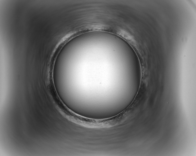 X0000087050012200704181247
